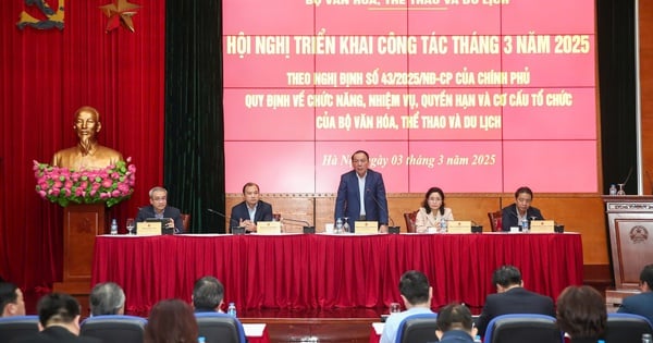 Phân công nhiệm vụ trong lãnh đạo Bộ Văn hóa, Thể thao và Du lịch