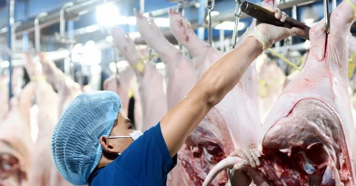 Ciudad Ho Chi Minh refuerza medidas para hacer frente al aumento de los precios de la carne de cerdo