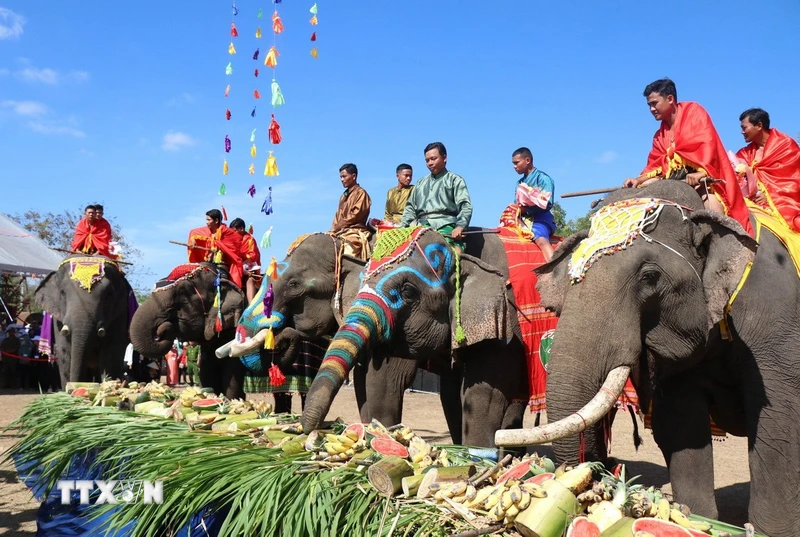 ダクラク：ブオンドン象祭りは多くの観光客に深い印象を残す