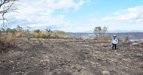 Archäologische Erkundung und Ausgrabung am Plei-Ring-Relikt, Provinz Gia Lai