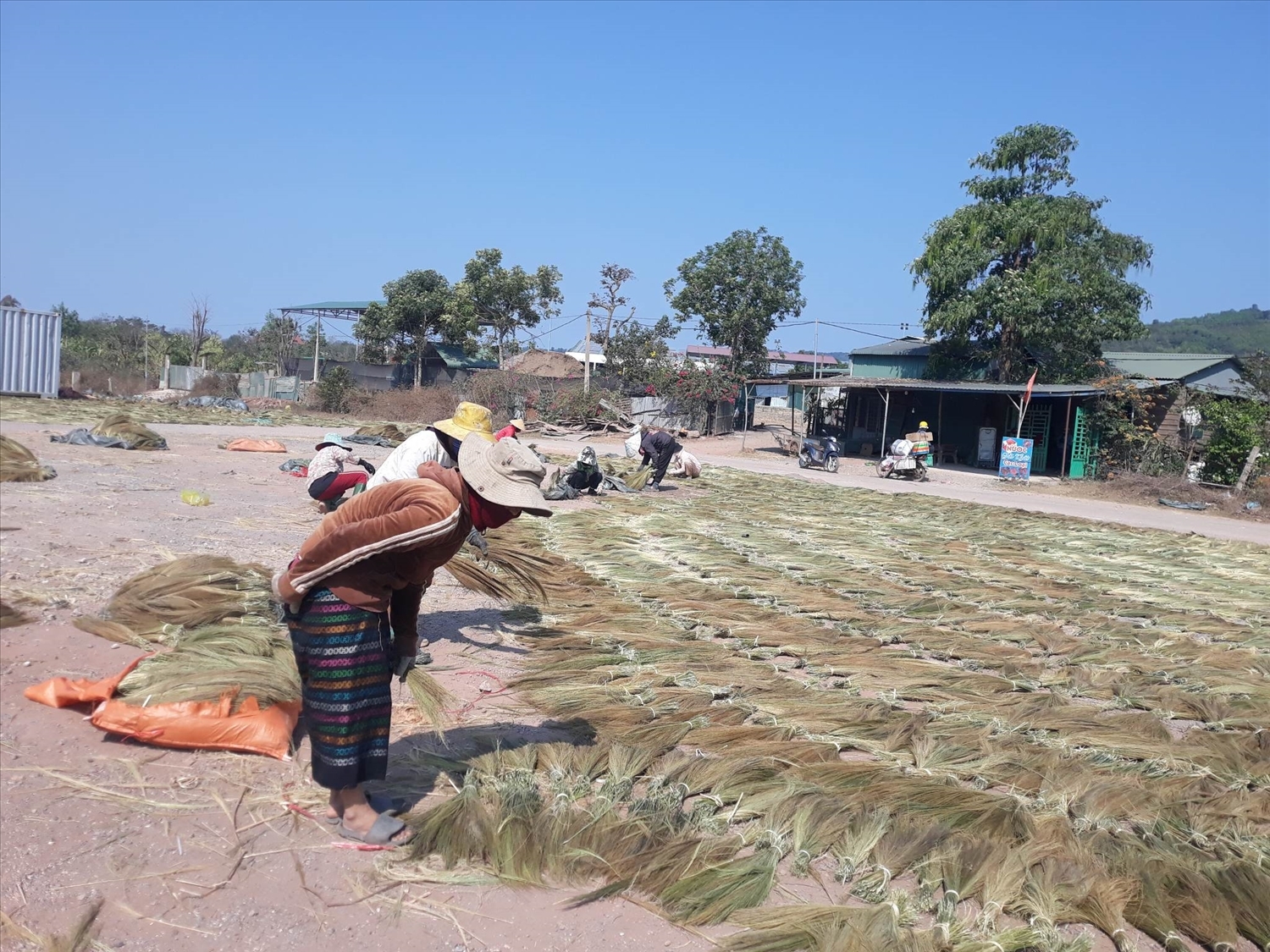 Thị trấn Lao Bảo, huyện Hướng Hóa (Quảng Trị) trở thành trung tâm tập kết đót