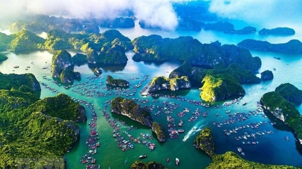 Cat Ba Island will be the setting for a new Hollywood film project.