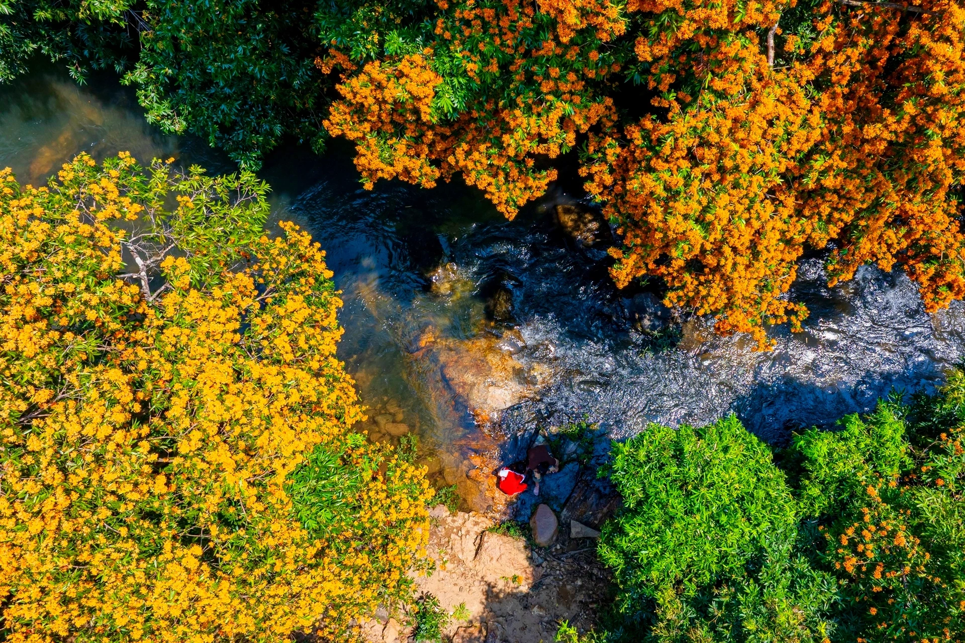 Ta Ma - a magical flower stream in the mountains and forests before the festival opening day