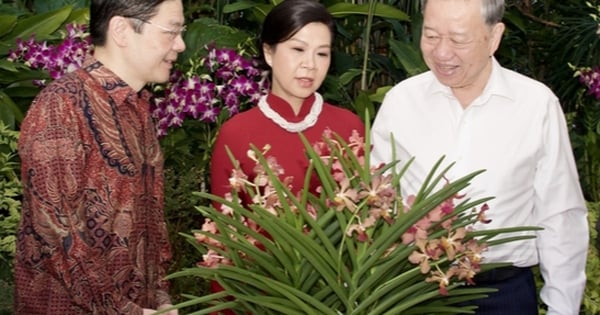 Singapur nombra nueva especie de orquídea en honor al Secretario General To Lam y su esposa