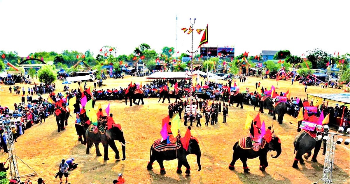 Buon Don Elephant Festival attracts tourists