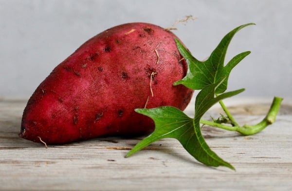 Tenga en cuenta los alimentos combinados con batata.