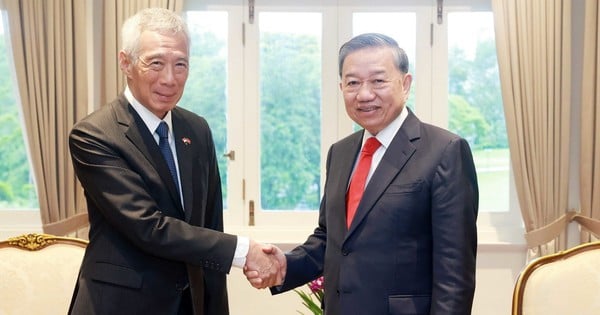 Le Secrétaire général rencontre l'ancien Premier ministre singapourien et ministre d'État Lee Hsien Loong