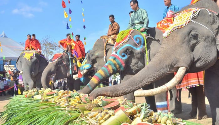 Unique cultural festival in the middle of the jungle