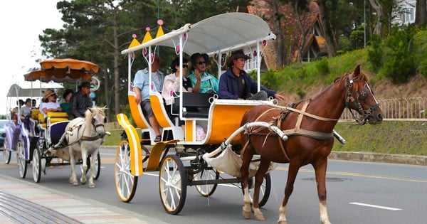 Dalat talks about stopping trams and horse-drawn carriages around Xuan Huong Lake