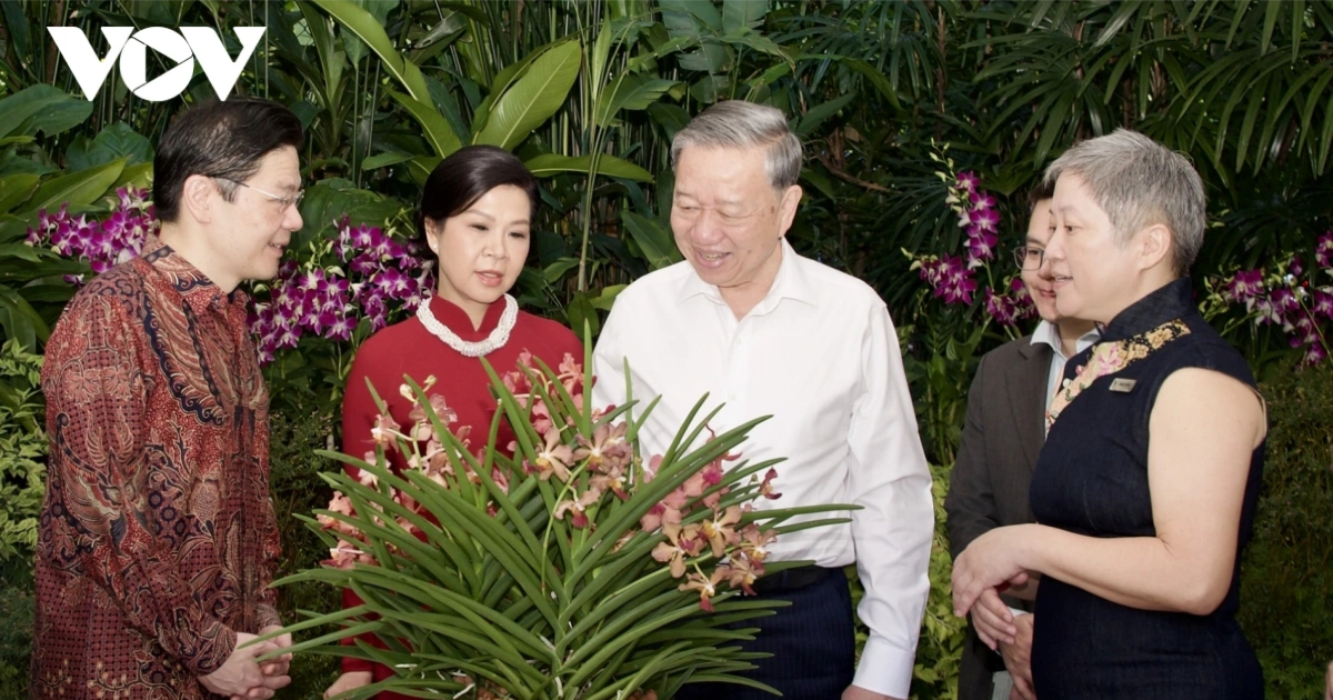 Singapur bautizó una nueva especie de orquídea en honor al Secretario General To Lam y a su esposa.