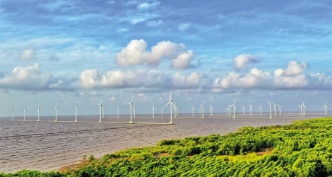 Offshore wind power investment still needs more regulations