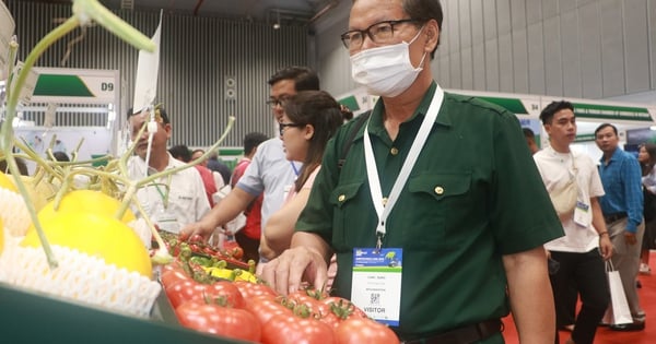 수백 명의 농부가 호치민시를 찾아 농업용 항공기를 구경하고 전 세계의 과일을 맛보러 옵니다.