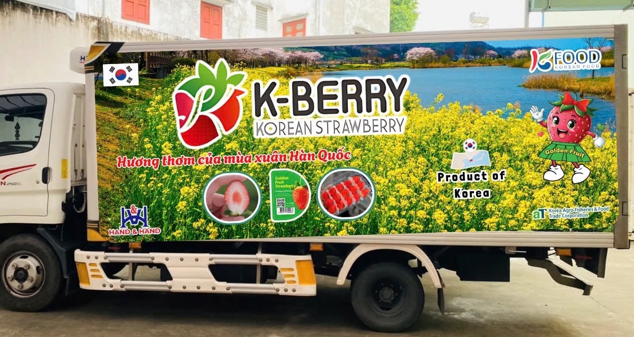 Fraises coréennes - le goût sucré du printemps