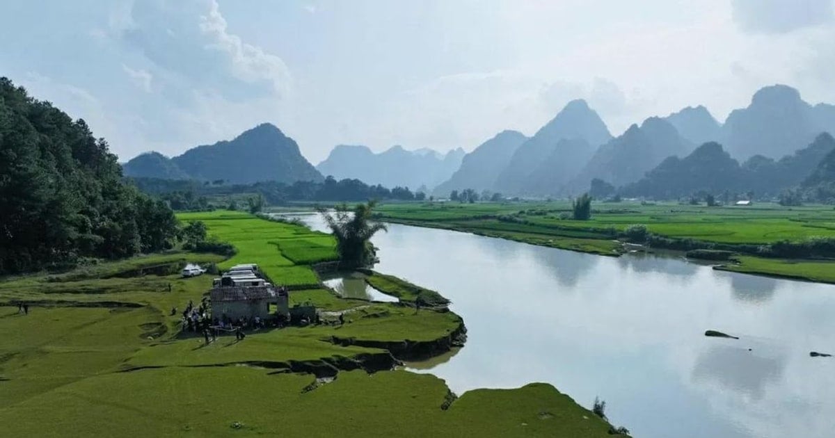 Quand la belle nature entre dans le film