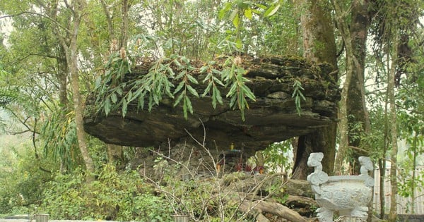 Close-up of a priceless rock with a strange shape like a giant umbrella in a Dao village of Lai Chau