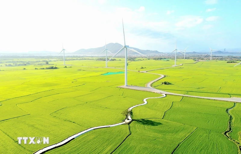 La beauté poétique et majestueuse du parc éolien de Dam Nai