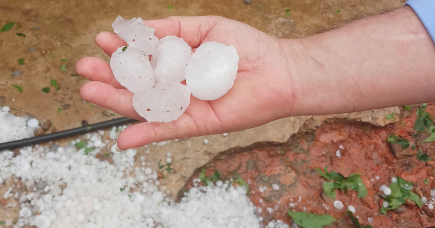 Pronóstico del tiempo para mañana, 13 de marzo de 2025: Hanoi es húmedo, muchas provincias deben estar en guardia contra tormentas eléctricas y granizo.