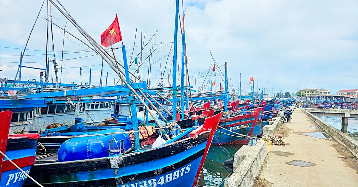 Thanh niên vào khu công nghiệp, tàu xa bờ phải nằm bờ