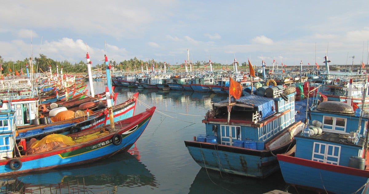 Sa Ky Gate, der Abfahrtsort der Hoang Sa Flotte