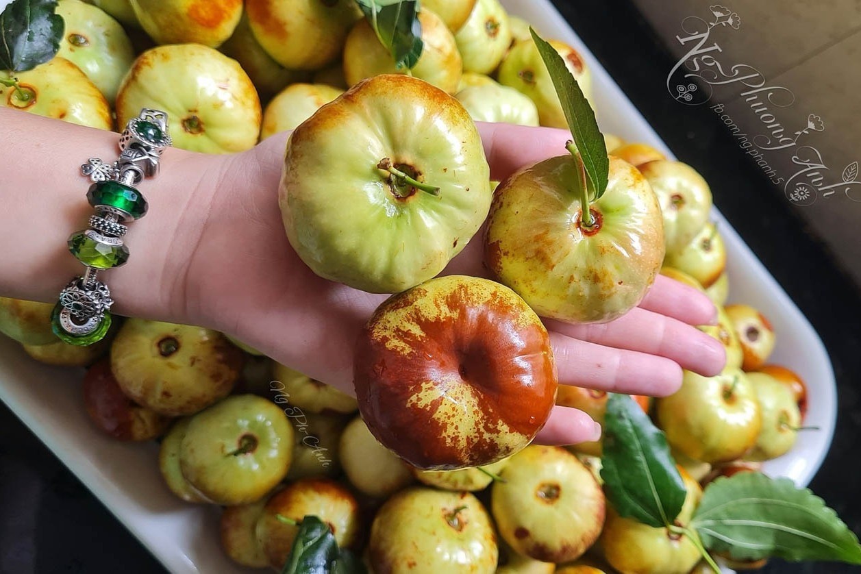 150m2 Dachgarten: Hunderte Lilienarten blühen, Zitronen so groß wie Grapefruits Foto 19