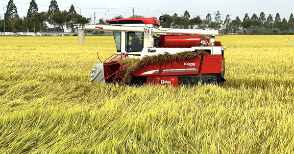 Phó Thủ tướng Trần Hồng Hà đề nghị nghiên cứu cho doanh nghiệp vay lãi suất thấp (Bài 3)