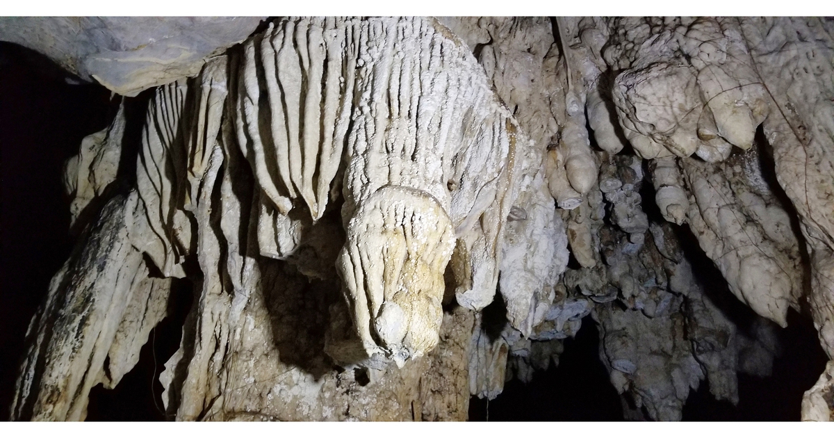 Erkunden Sie die erstaunliche Höhle inmitten des Cat Ba-Mangrovenwaldes