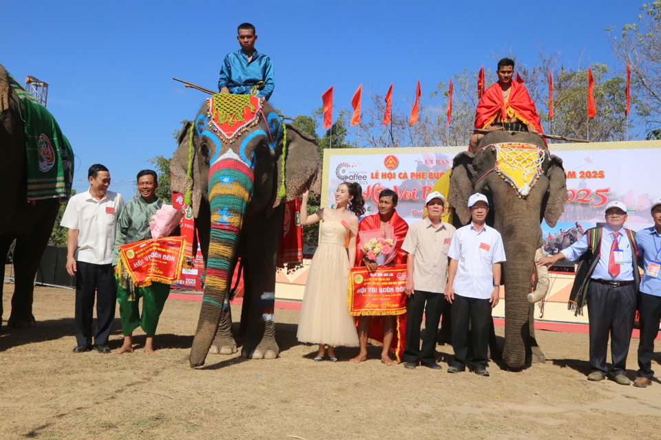 សត្វដំរី Buon Don រីករាយភ្ញៀវទេសចរ - រូបថត ១