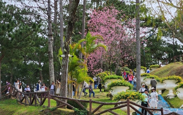 Dalat « attire » les touristes internationaux - Photo 1.