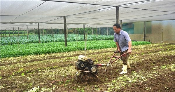 Los feligreses de Quang Kim se unen para construir una aldea desarrollada