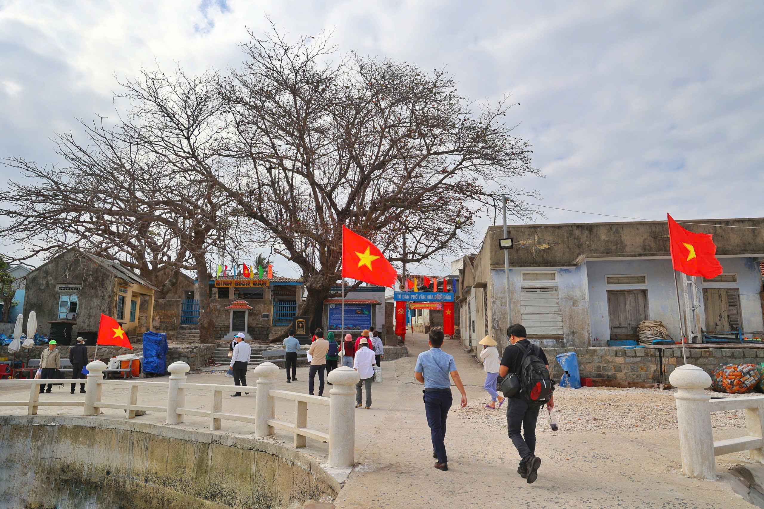 Khám phá non nước Bích Đầm bình yên trong vịnh Nha Trang- Ảnh 8.