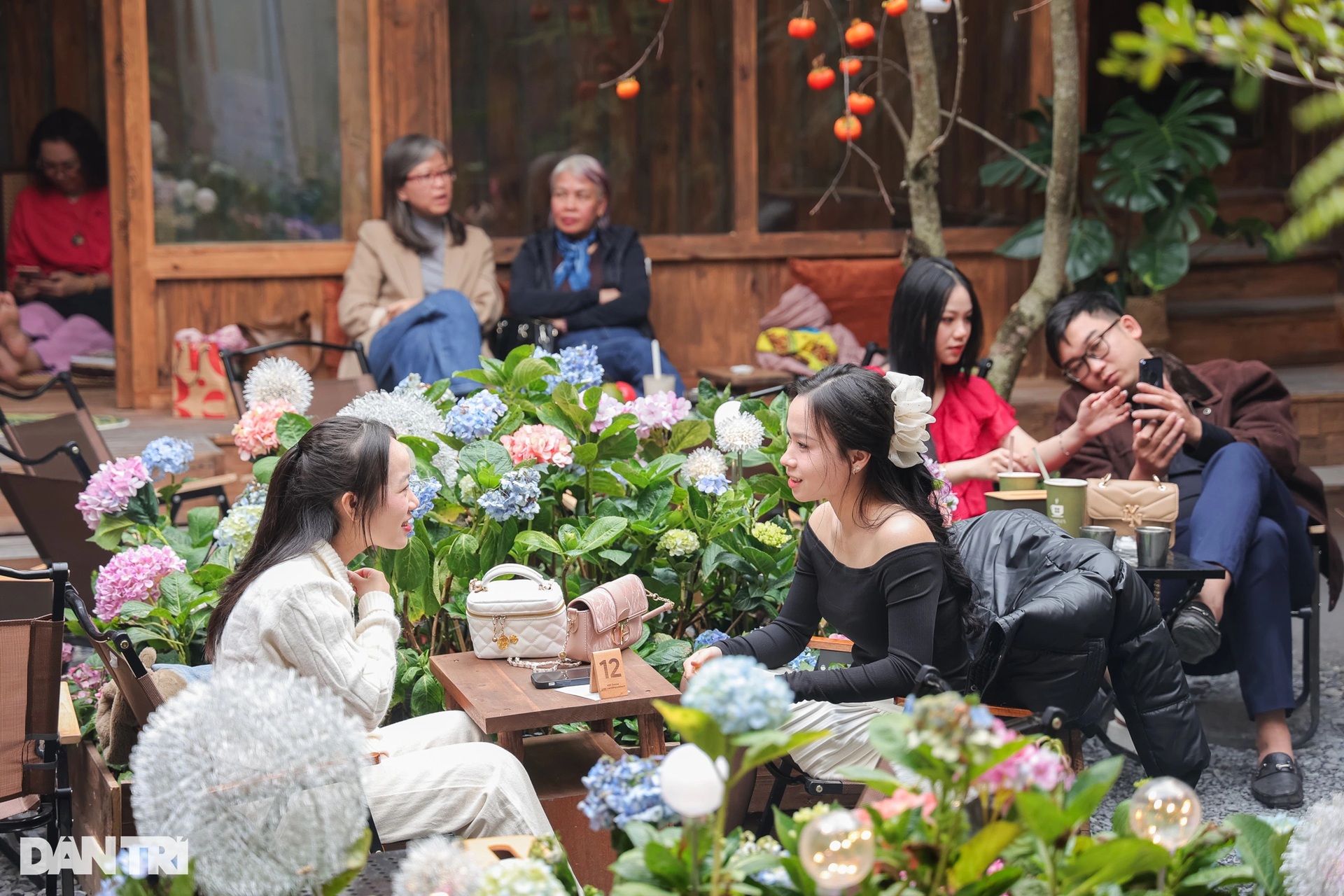 Quán cà phê Hà Nội trồng cẩm tú cầu, phun sương nhân tạo hút cả nghìn khách - 14