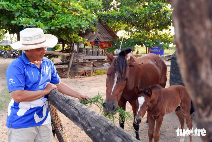 Horse training in the AI ​​era