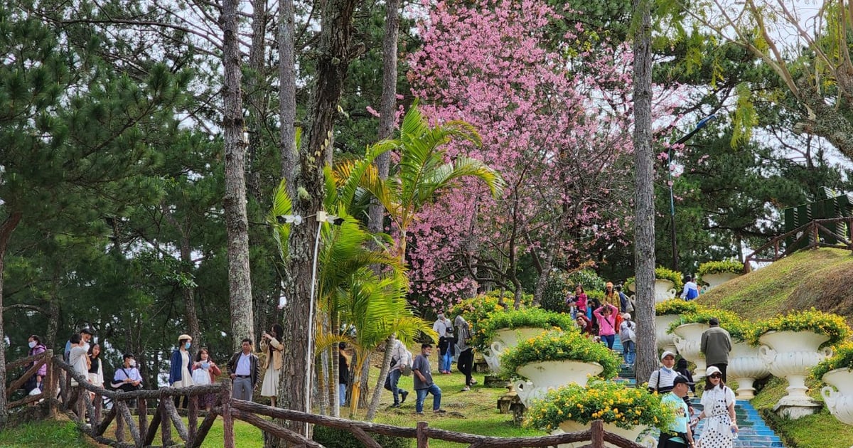 Da Lat attracts Korean tourists