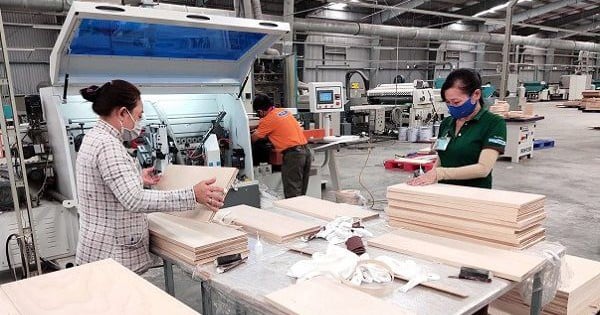 Reasons why Truong Thanh Wood closed branches, factories and dissolved subsidiaries