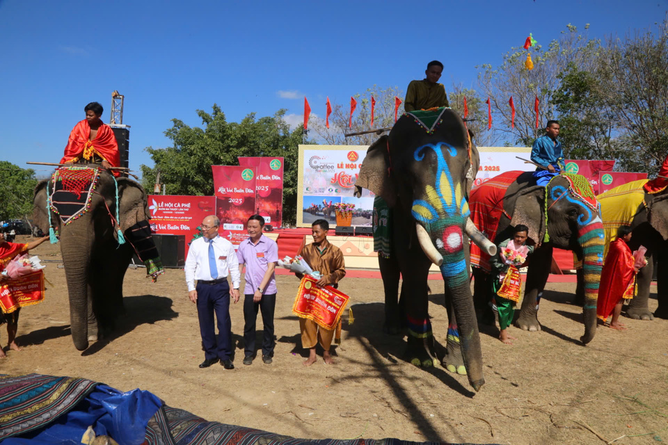 The elephants attending this year's event are of many ages and are cared for by the people and the government.