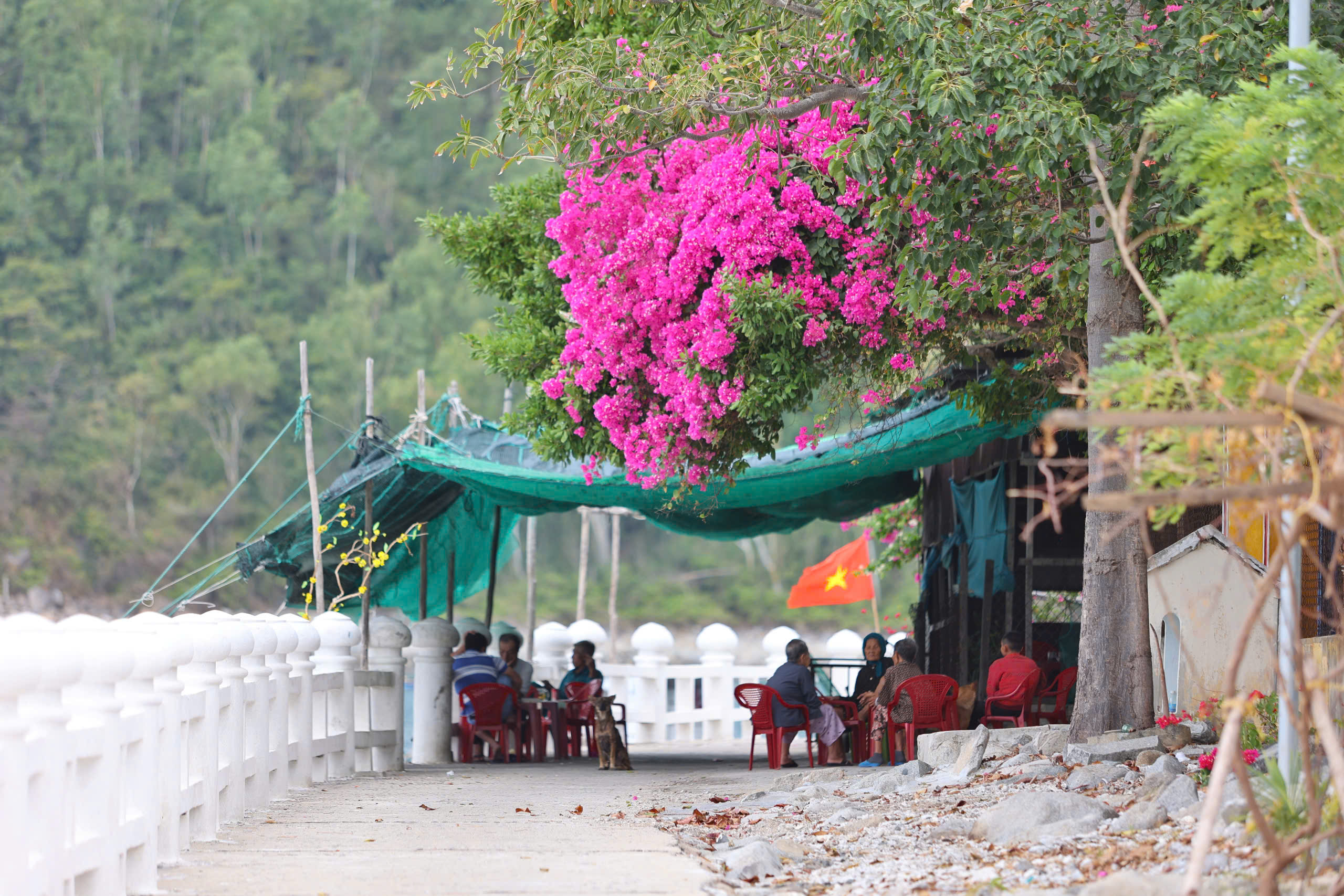 Khám phá non nước Bích Đầm bình yên trong vịnh Nha Trang- Ảnh 10.