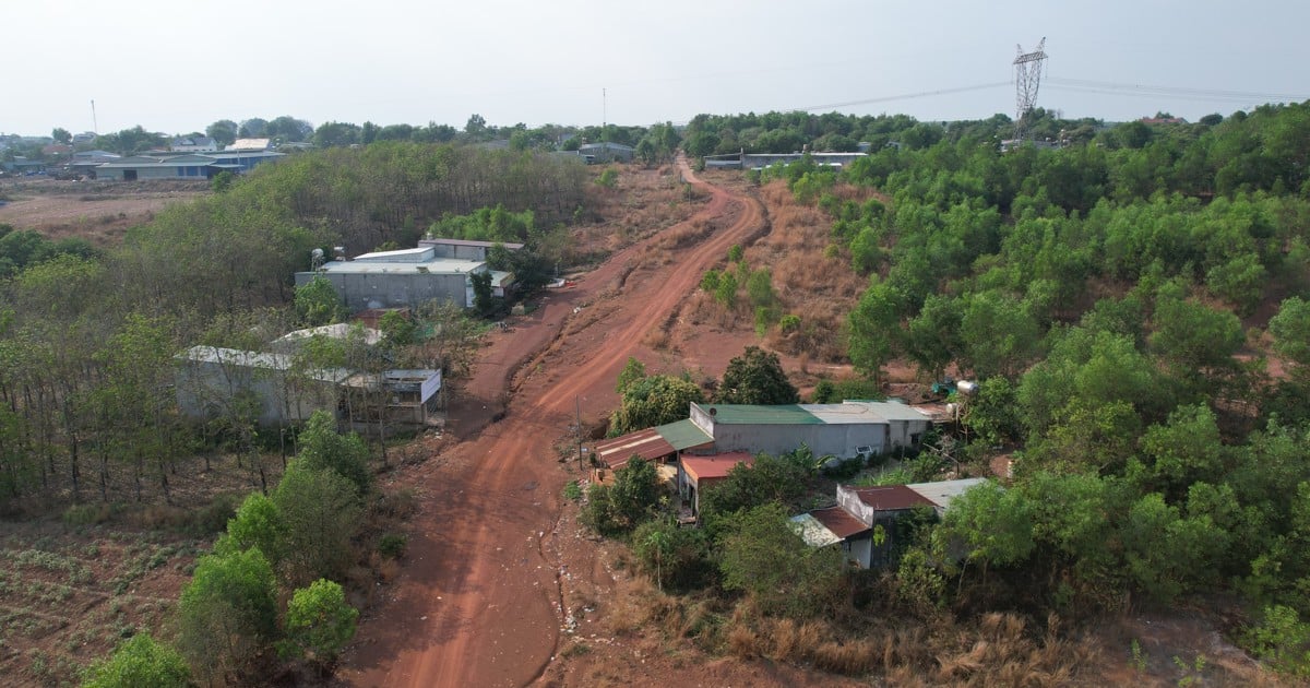 អនុញ្ញាតឱ្យសាងសង់លើដីកសិកម្ម