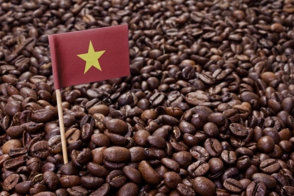 Coffee prices "plummet", instability in commodity trading; challenge for Vietnamese goods?