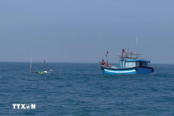 푸꾸이 섬에서 곤경에 처한 어부 15명을 성공적으로 구출