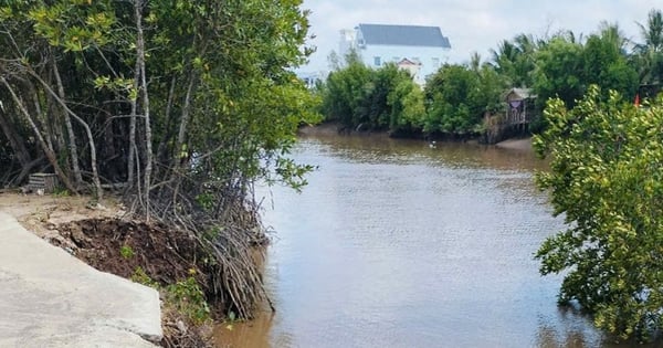 Deslizamiento de tierra cerca de la alcantarilla de Nha Mat, riesgo de interrupción del tráfico