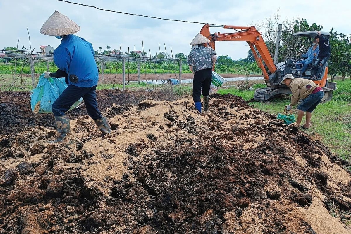 HTX tận dụng chất thải từ chăn nuôi ủ phân bón hữu cơ theo hướng dẫn của chuyên gia. Ảnh: Trung Quân.