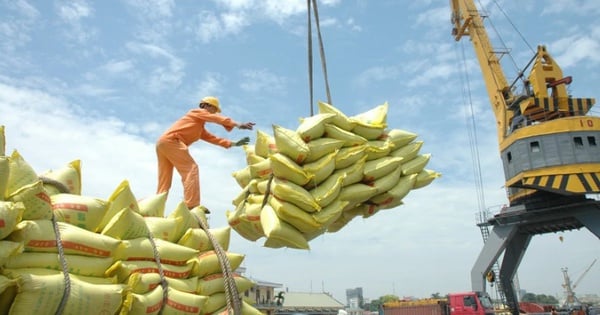 El precio del arroz partido al 5% para exportación desde Vietnam ha aumentado continuamente. ¿Cuál es el pronóstico del mercado?