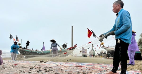 Wie sieht eine Sardelle aus? Die Fischer von Ha Tinh können ihre Netze an Land ziehen, um sie zu fangen, und schon das Aufheben bereitet ihnen die Hände weh.