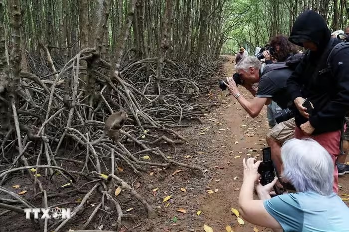 Cách trung tâm TP HCM 50km có khu rừng um tùm, la liệt một loài động vật hoang dã, dân tình tha hồ chụp hình - Ảnh 2.