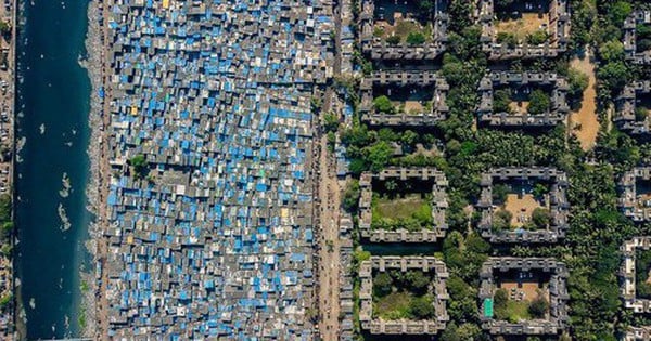 世界の厳しさを暴露する写真シリーズ