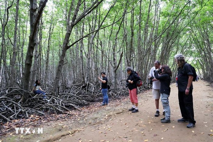 Cách trung tâm TP HCM 50km có khu rừng um tùm, la liệt một loài động vật hoang dã, dân tình tha hồ chụp hình - Ảnh 9.