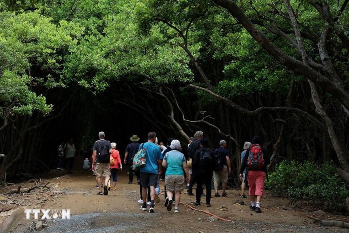 Cách trung tâm TP HCM 50km có khu rừng um tùm, la liệt một loài động vật hoang dã, dân tình tha hồ chụp hình - Ảnh 8.