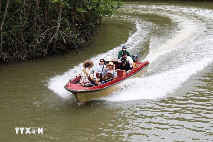 Cách trung tâm TP HCM 50km có khu rừng um tùm, la liệt một loài động vật hoang dã, dân tình tha hồ chụp hình - Ảnh 7.