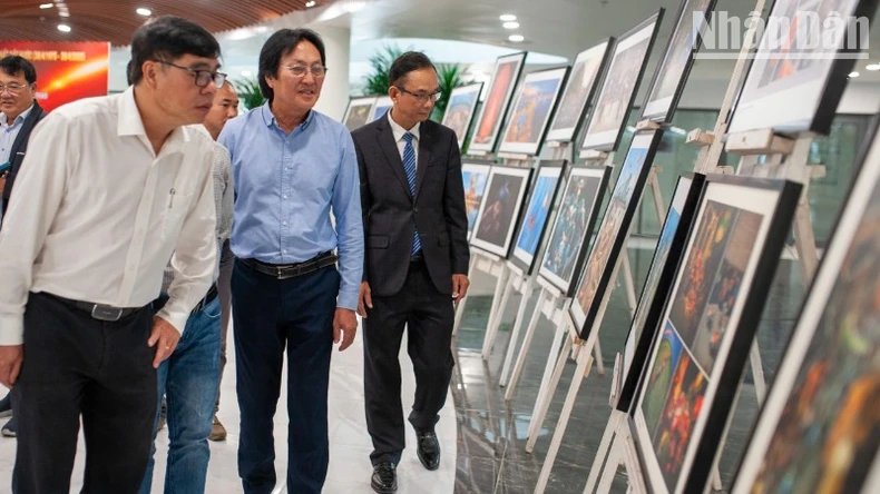 Da Nang exhibe más de 100 fotografías artísticas sobre Quang Nam y Da Nang foto 4