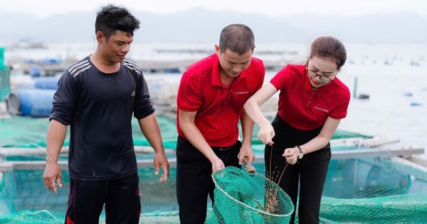 Ngân hàng bung vốn lãi suất thấp cho vay nông nghiệp